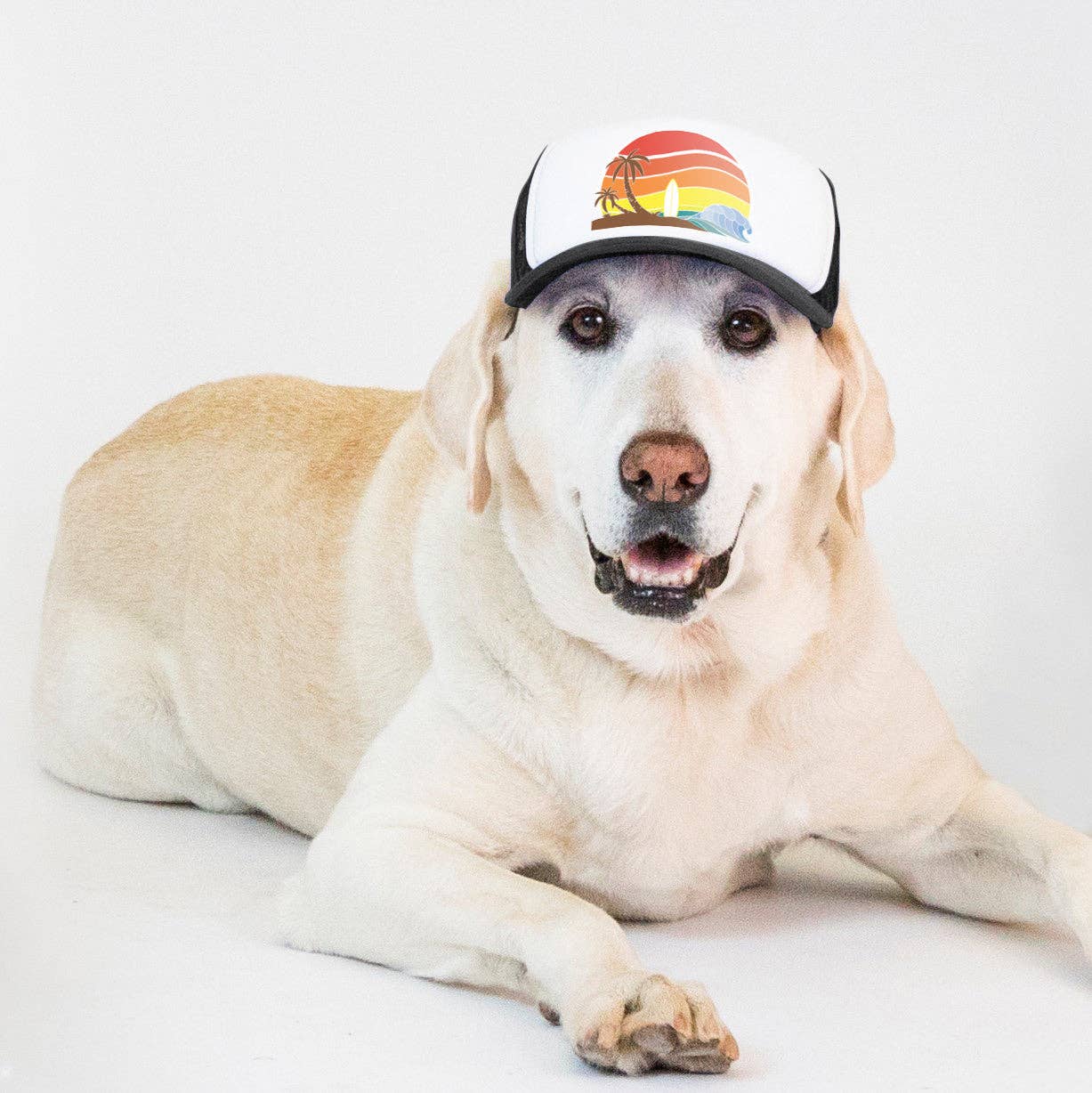 Trucker Hat for Dogs/Cats: Island Sunset Black/ XXS