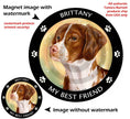 Brittany Spaniel My Best Friend Circular Magnet