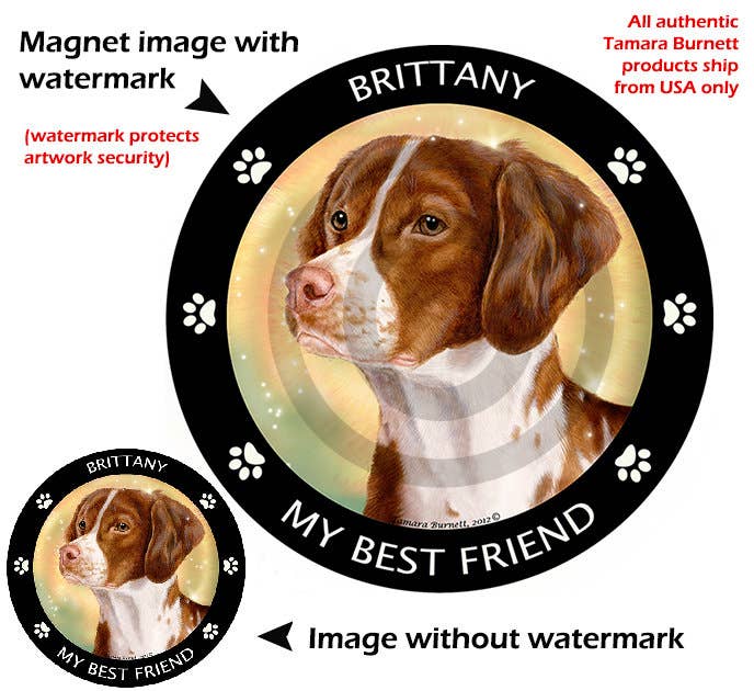 Brittany Spaniel My Best Friend Circular Magnet