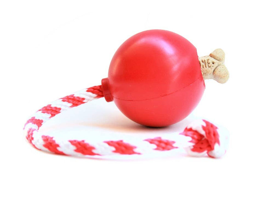 SP USA K9 Cherry Bomb Dog Chew Toy