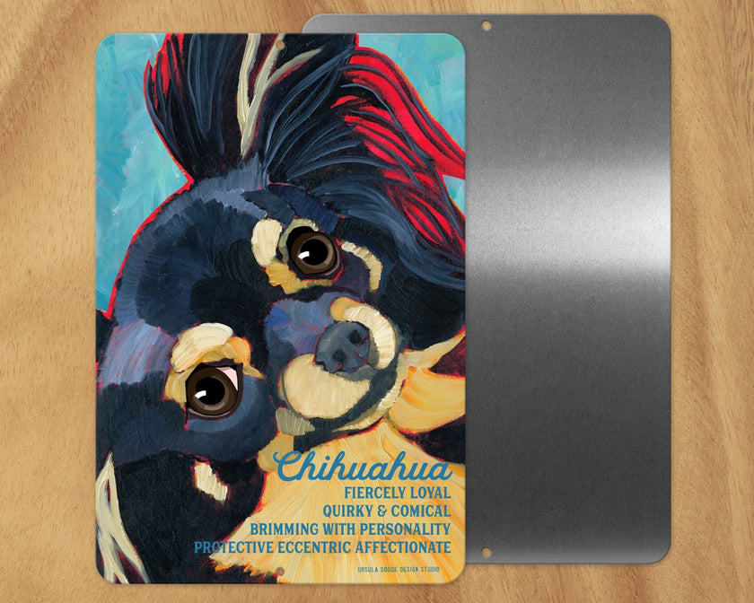 Chihuahua (Long Hair Tri Color) -UD Metal Sign