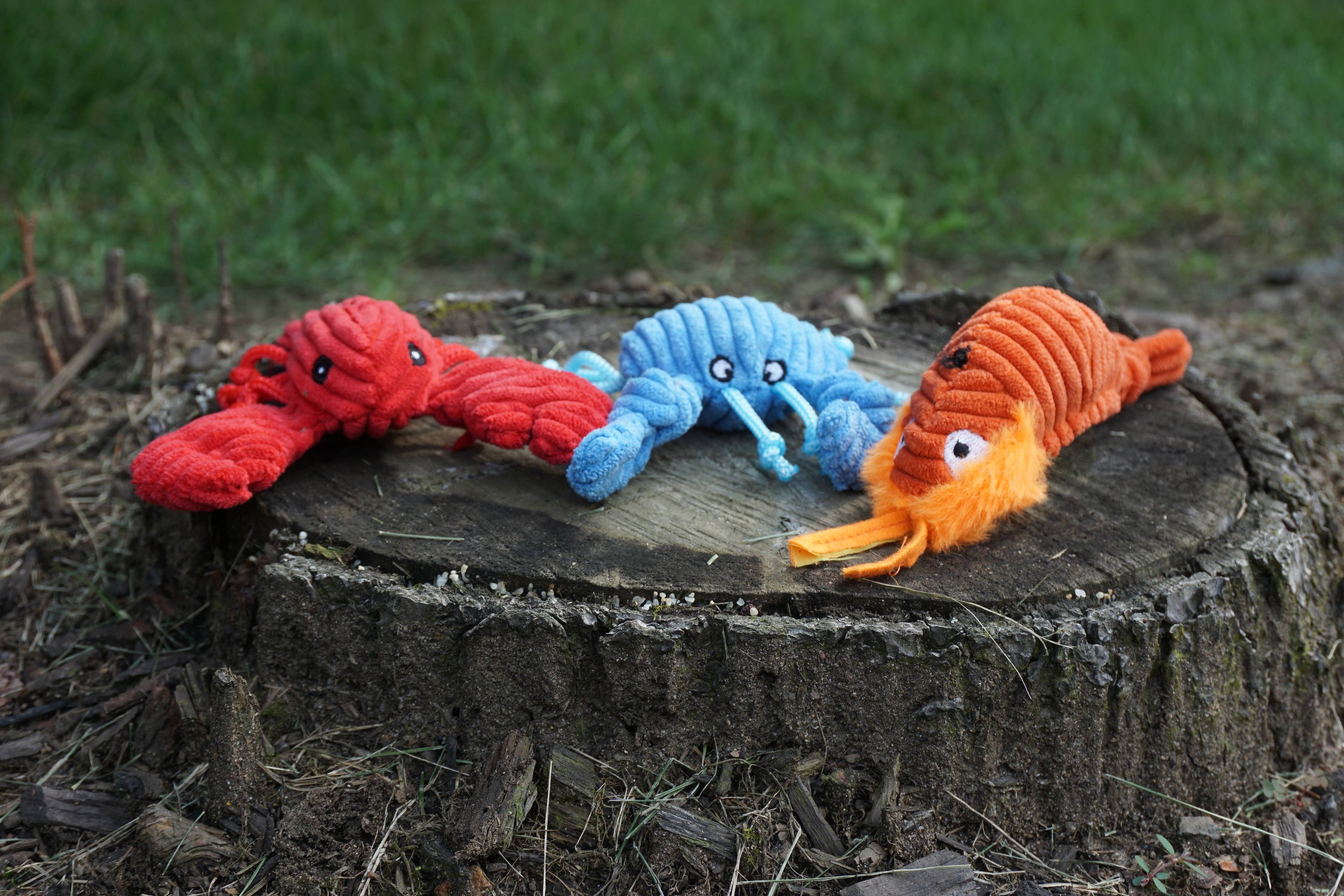 Dog Toy Sea Creature Raw Bar Wee Huggles® Plush Toy