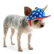 Patriotic American USA Star Pet Hat