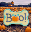 Halloween Boo Bone