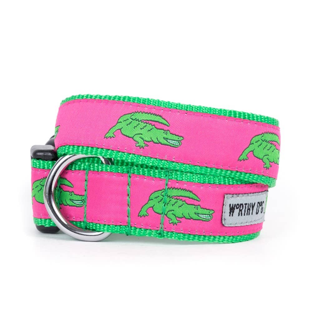 Alligators Dog Collar