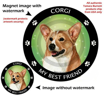 Corgi Tan & White My Best Friend Circular Magnet