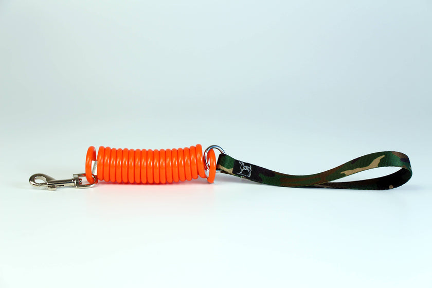 Unique Coil Pet Leash