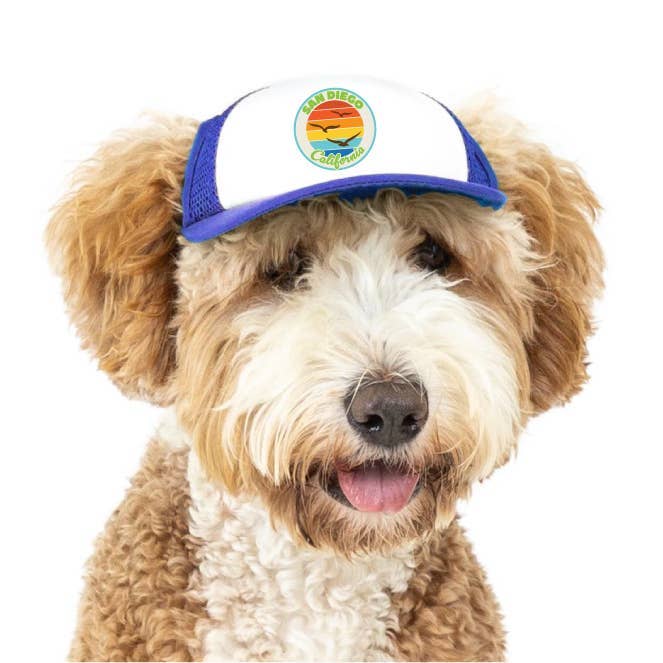 Trucker Hat for Dogs/Cats- Seagull