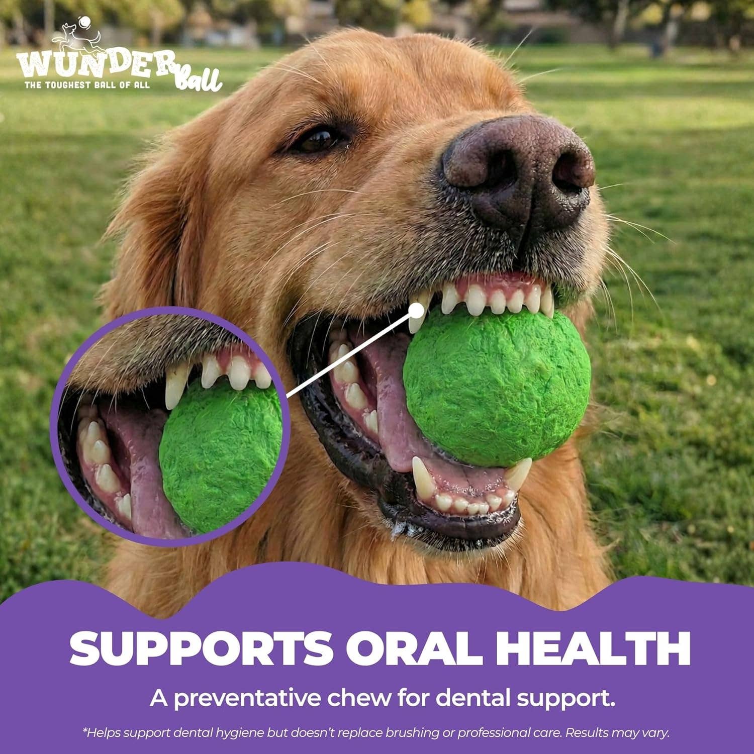 WUNDERball 36 Pack Dog Toy Wholesale Display