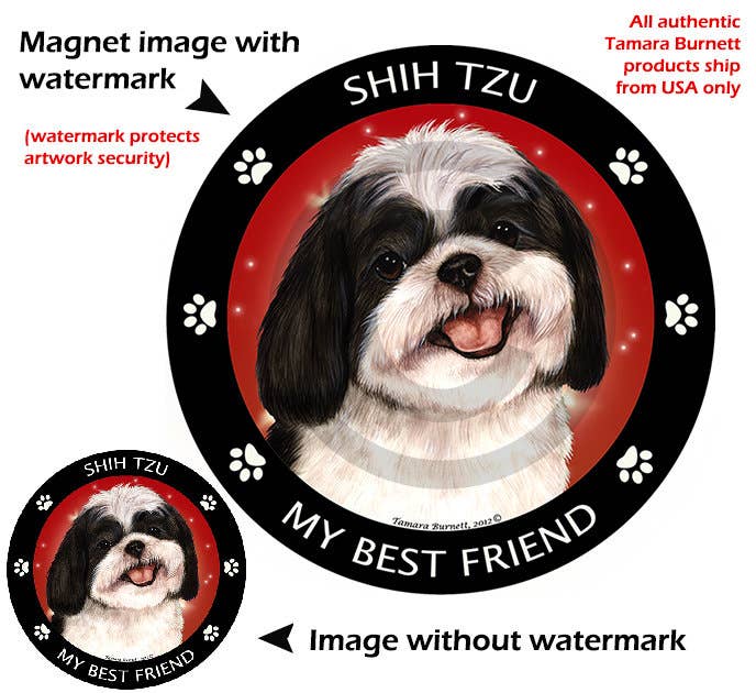 Shih Tzu Black & White My Best Friend Circular Magnet