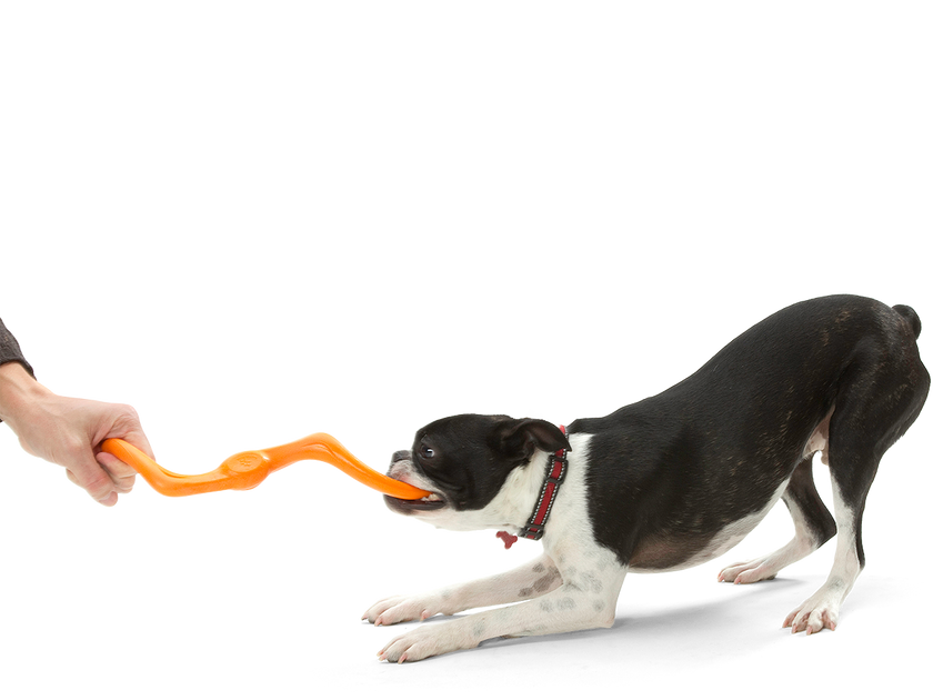 Dog Toy Bumi® for Chew, Tug, and Fetch Toy