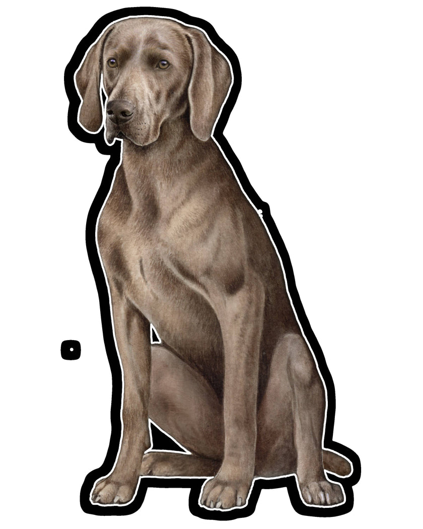 Weimeraner  - Vinyl Sticker