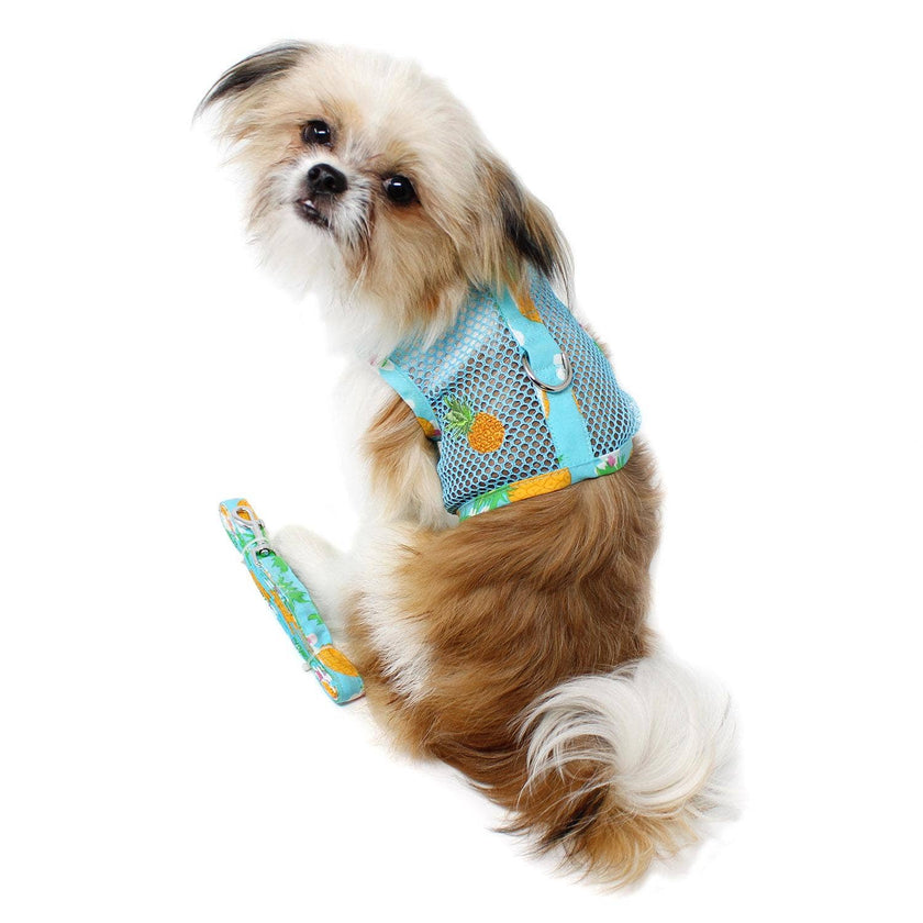 Cool Mesh Dog Harness - Pineapple Luau