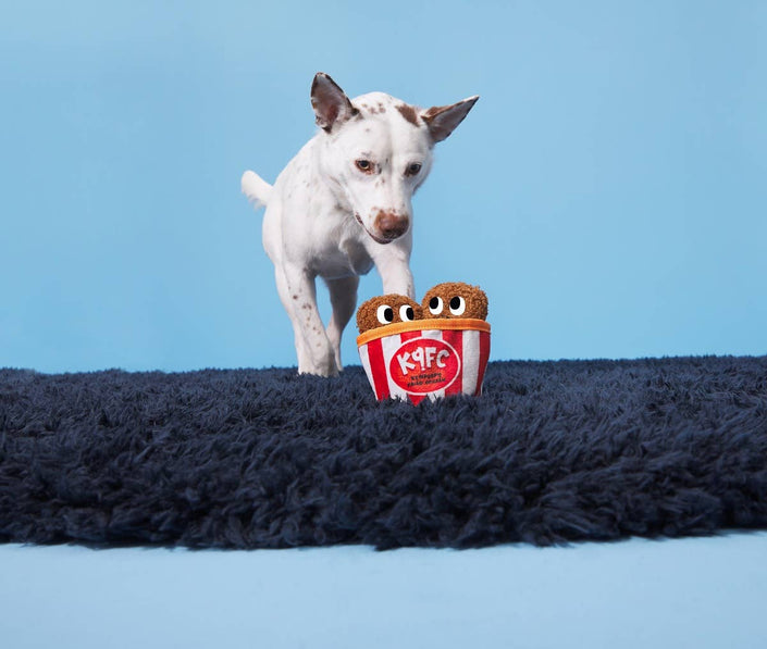 BARK Kenpuppy Fried Chicken Dog Toy