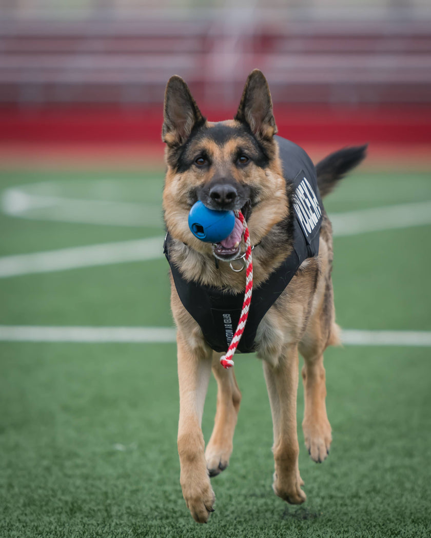 SP USA K9 Cherry Bomb Dog Chew Toy