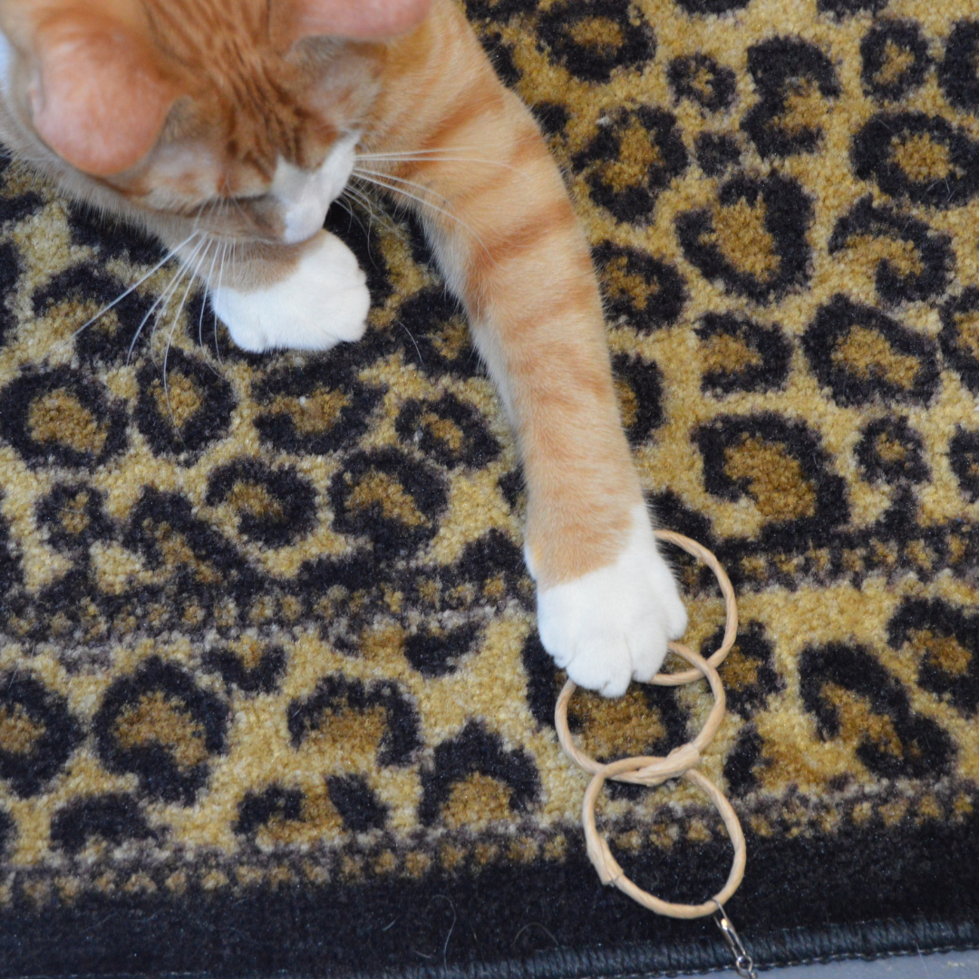 Cat Toy Oh-Rings Three Ring Wand Attachment Toy