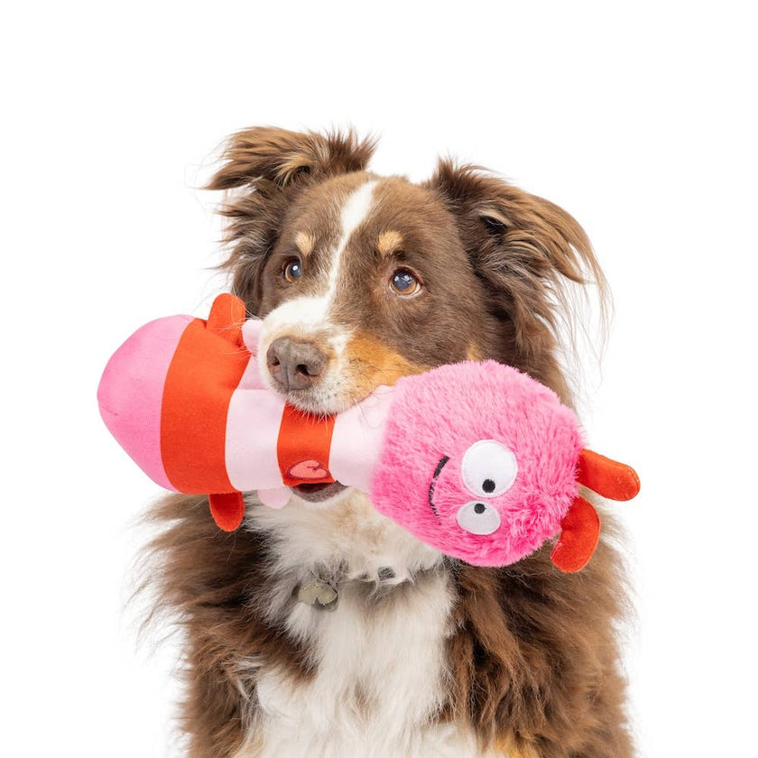 Fetchies® Love Bug Dog Toy