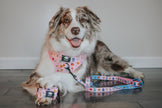 Dog Waste Bag Holder - Gilmore Girls™