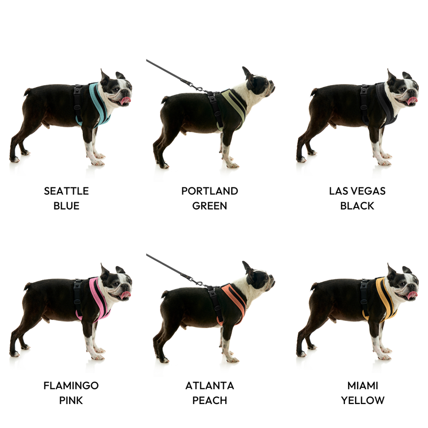 Escape Free Comfort X One Dog Harness