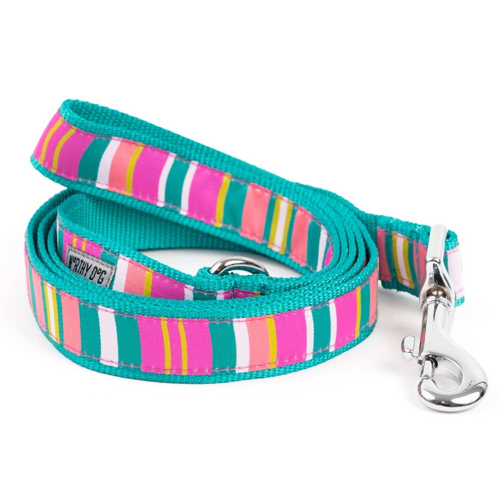 Fiesta Stripe Lead Leash