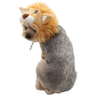 Lion Dog or Cat Costume Hat