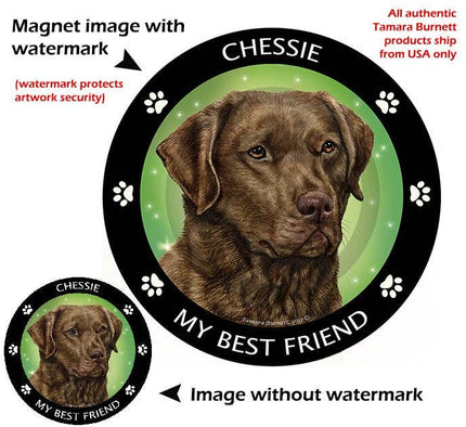 Chesapeake Bay Retriever Brown My Best Friend Magnet