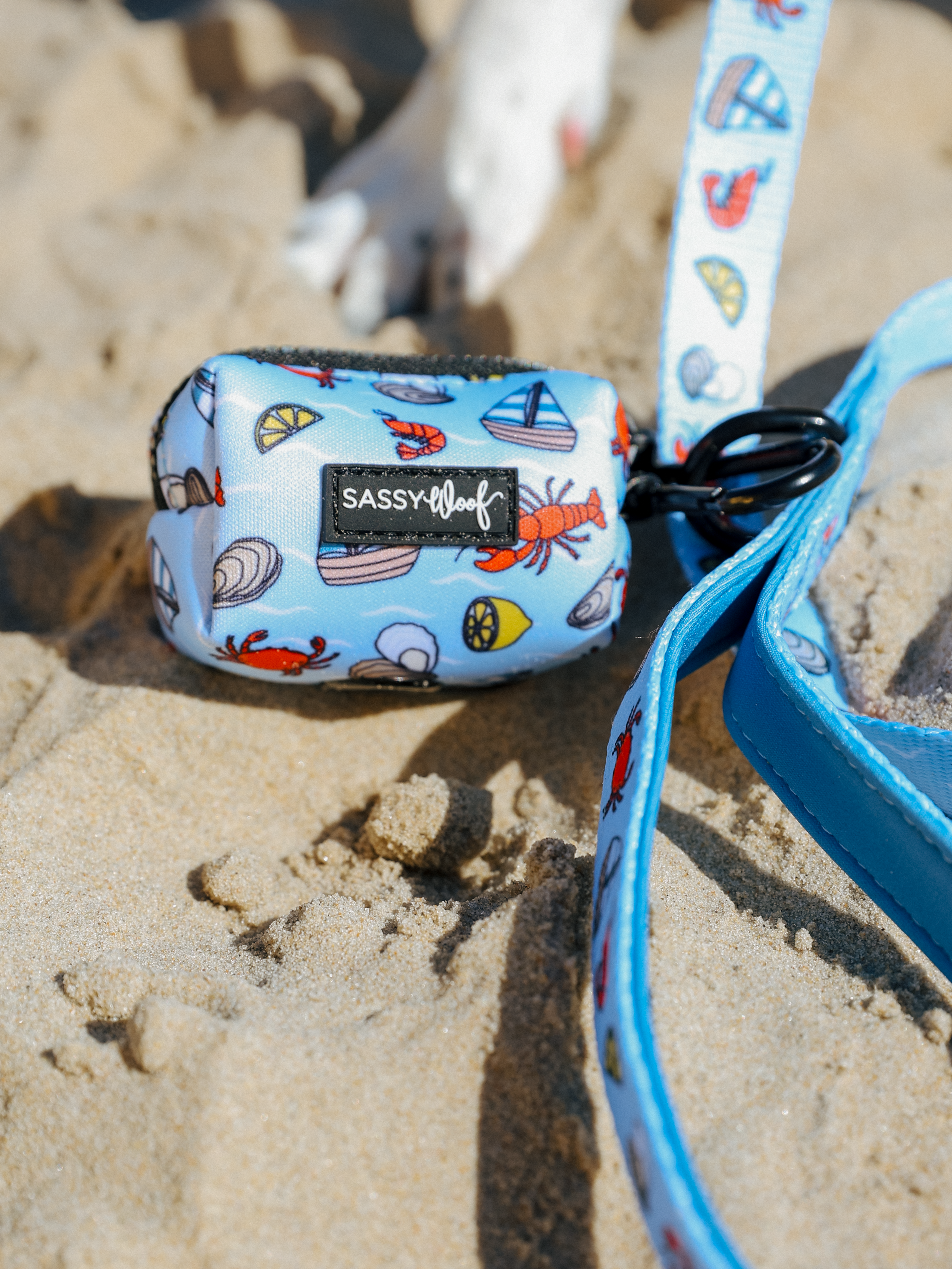 Dog Waste Bag Holder - Coastal Cuties