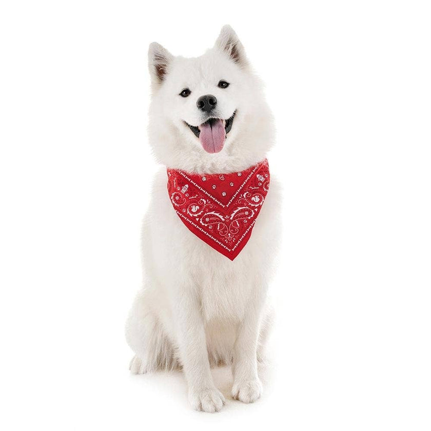 Howligans - Dog Bandana - Large Red