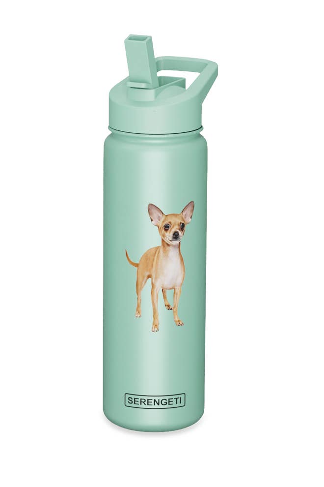 Chihuahua Stainless Steel Water Bottle 24 Oz. Serengeti