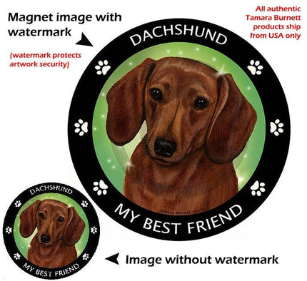 Dachshund Red My Best Friend Circular Magnet