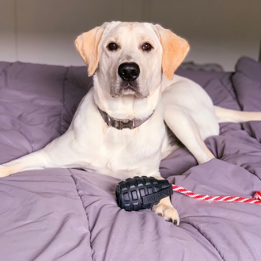 Dog Toy SP USA-K9 Magnum Grenade Dog Chew Toy Black