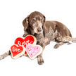 Valentine's Red Heart Love Sugar Cookie