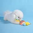 Dog Toy Pina Cola, Pineapple and Coconut Plush Toy Set