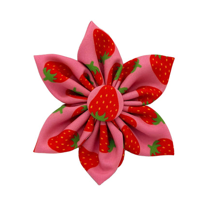 H&K Strawberries Pinwheel