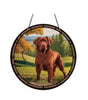 Chespeake Retriever Acrylic Suncatcher with Chain