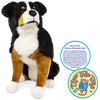 Bryson the Bernese Mountain Dog | 23 Inch Stuffed Animal Plu