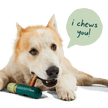BullySafe Chews - Pure Collagen
