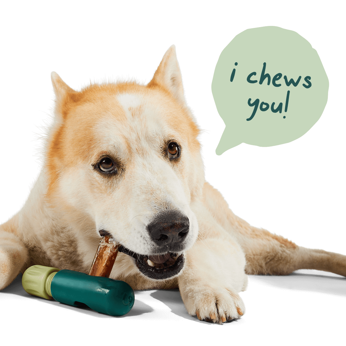 BullySafe Chews - Pure Collagen