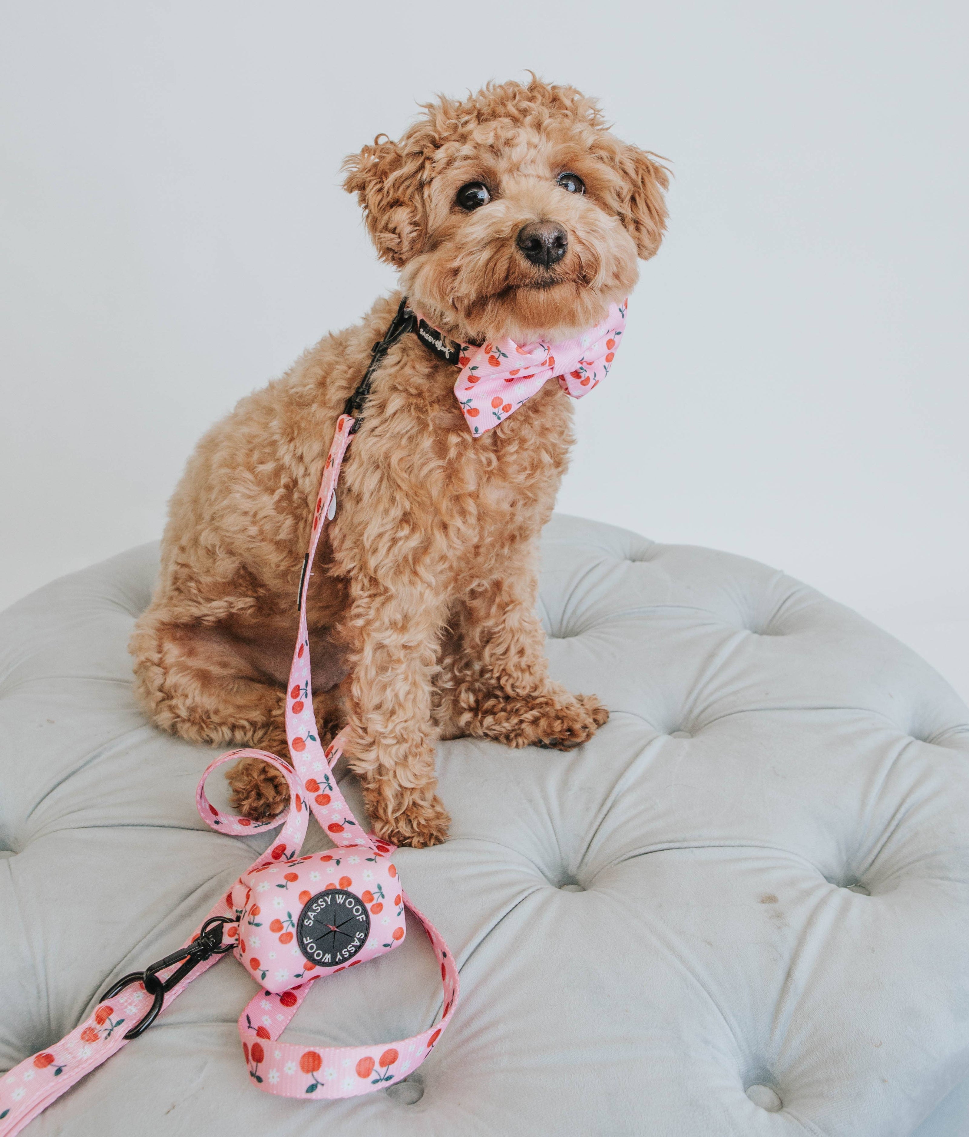 Dog Waste Bag Holder Mon Cherry Pink With Clasp