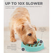 Fun Feeder Slo Bowl Dog Feeder Mint Small