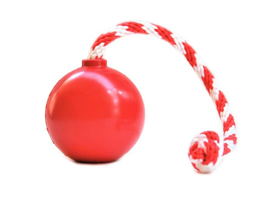 SP USA K9 Cherry Bomb Dog Chew Toy