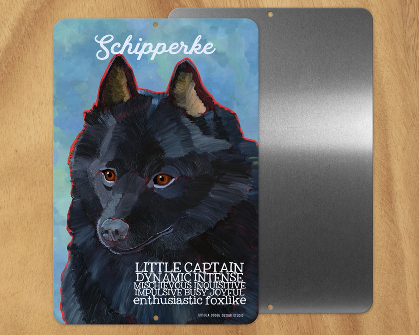 Schipperke -UD Metal Sign