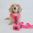 Dog Waste Bag Holder Neon Pink With Clasp