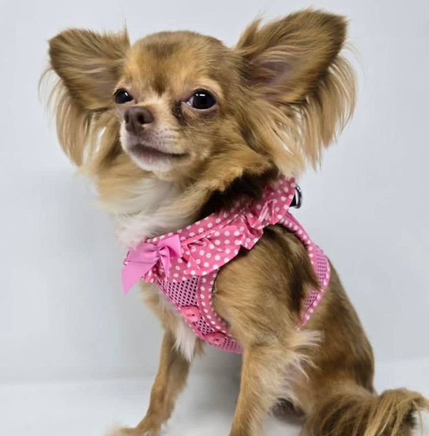 American River Polka Dot Dog Harness - Pink