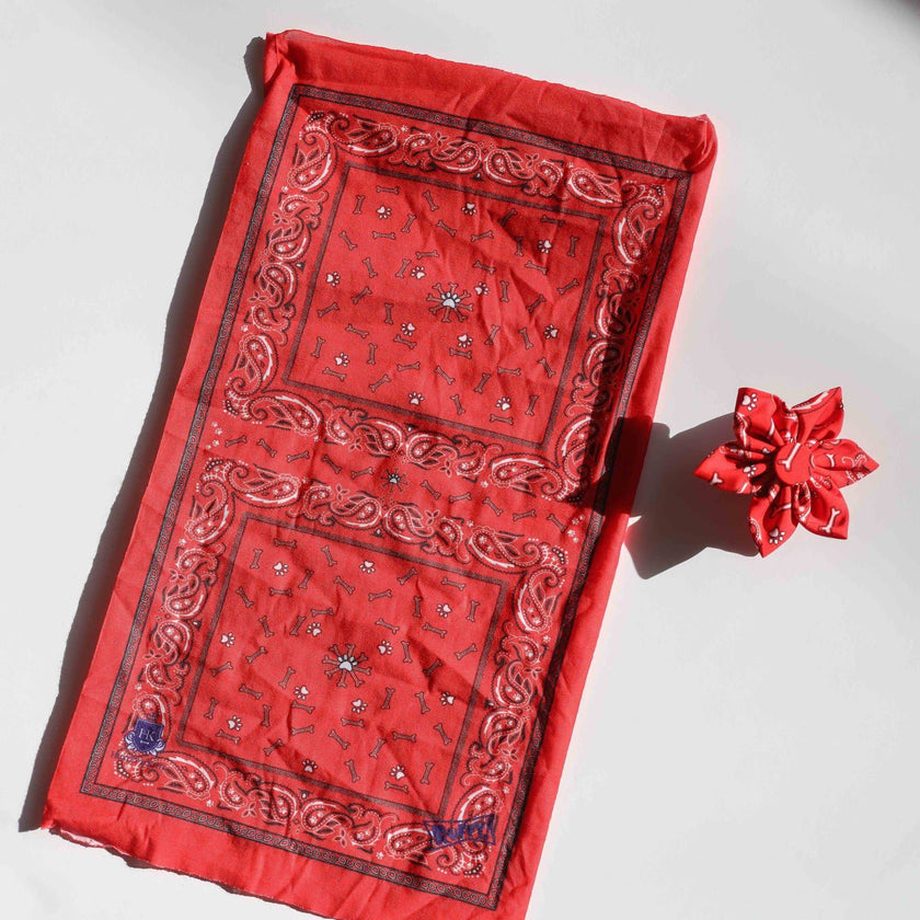 H&K Bow Tie Bone-Dana Red