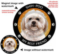 Shipoo My Best Friend Circular Magnet