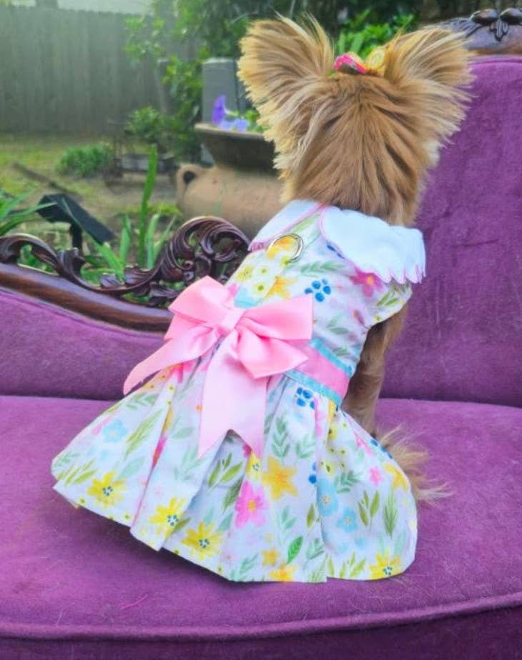 Pastel Meadow Dog Dress with Matching Leash