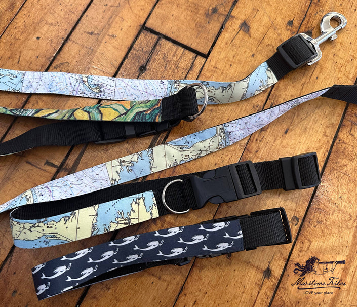 Charlotte Harbor Punta Gorda Florida Dog Collar