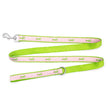 Pink Stripe Alligator Lead Leash