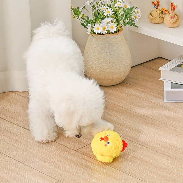 Dog Toy Chick Farm Friendz Plush Layered Hidden Spiky Ball Dog Toy